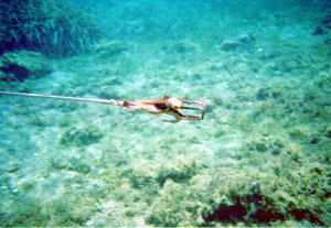 Panoramica della spiaggia di Mesachti